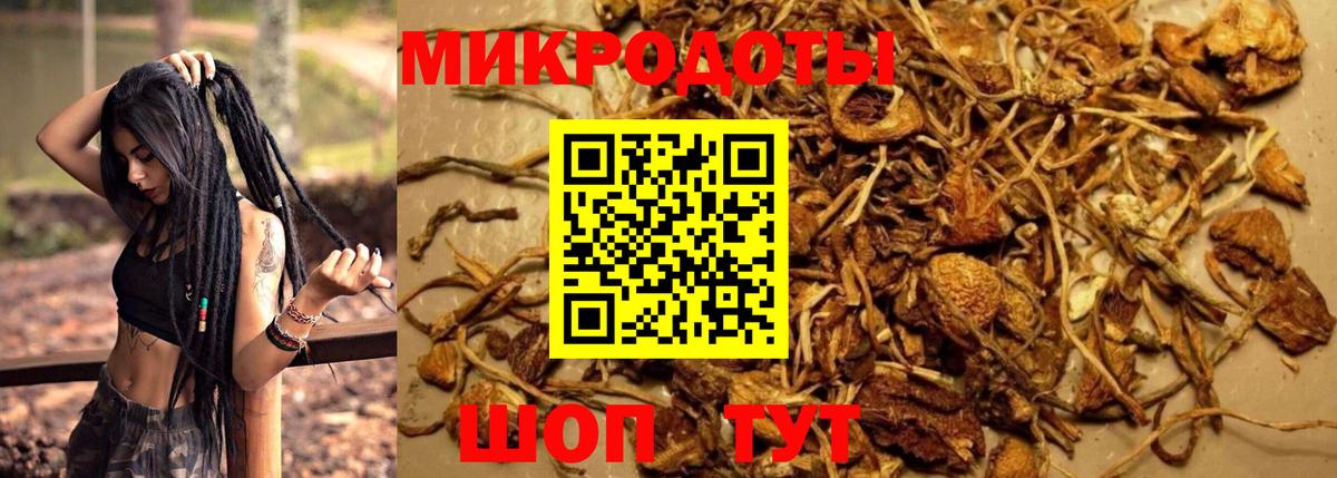 Псилоцибиновые грибы GOLDEN TEACHER  Вход с VPN  Хасавюрт 